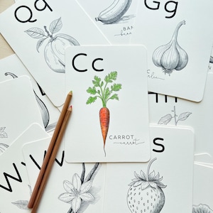 May include: A collection of white flashcards with black and white illustrations of fruits and vegetables, including a carrot, banana, and strawberry. The letter 'C' is above the carrot illustration. Two pencils are on the left side.
