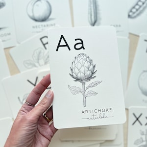 May include: A white flashcard featuring a detailed black and white illustration of an artichoke. The card displays the letter "A" and the word "ARTICHOKE" in a handwritten font. Other flashcards with botanical illustrations are visible in the background.