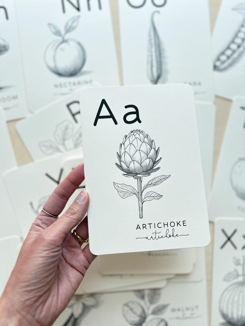 May include: A white flashcard featuring a detailed black and white illustration of an artichoke. The card displays the letter "A" and the word "ARTICHOKE" in a handwritten font. Other flashcards with botanical illustrations are visible in the background.