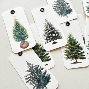 Winter Tree Tags /Ornaments & Twine 3x1.5 image 4