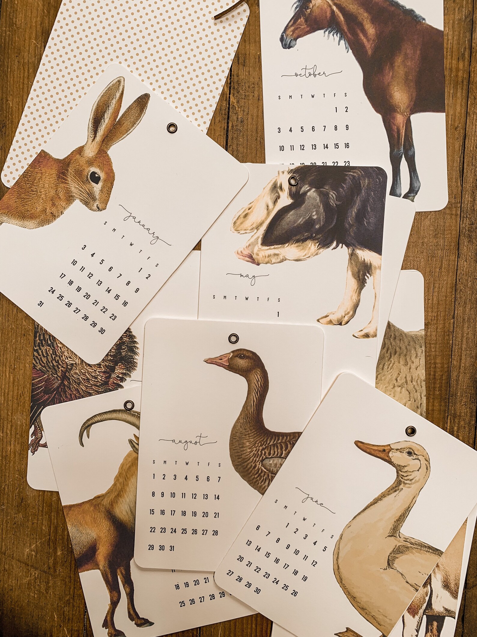 2021 farm animal calendar Etsy