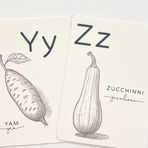May include: Two educational flashcards with the letters Yy and Zz. The Yy card features a drawing of a yam with the word "YAM" below. The Zz card shows a zucchini with the word "ZUCCHINNI" below.