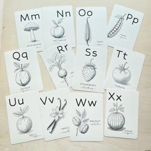 May include: A collection of white flashcards featuring black and white illustrations of fruits, vegetables, and other items, each paired with a letter of the alphabet. The cards include the words "Mushroom," "Nectarine," "Okra," "Peas," "Quince," "Strawberry," "Tomato," "Ugli," "Vanilla," "Walnut," and "Xigua."