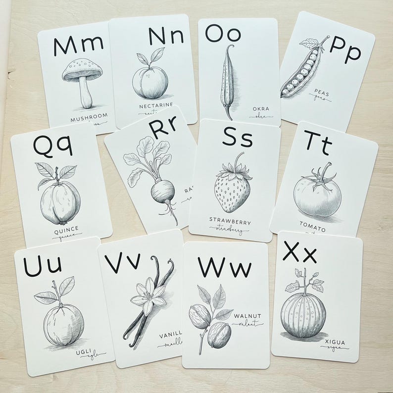 May include: A collection of white flashcards featuring black and white illustrations of fruits, vegetables, and other items, each paired with a letter of the alphabet. The cards include the words "Mushroom," "Nectarine," "Okra," "Peas," "Quince," "Strawberry," "Tomato," "Ugli," "Vanilla," "Walnut," and "Xigua."