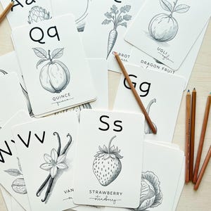 May include: A collection of white flashcards with black illustrations of fruits and vegetables, and the letters of the alphabet. Pencils are scattered around the cards. The cards include the letters A, B, C, Q, U, S, V, and G.