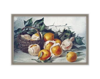 orange, citrus, fruit still-life - reproduction vintage antique art - 11x17 - fruit - rustic farmhouse - Edgewood Farmhouse