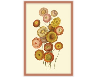 Retro Fall Flowers  11x17