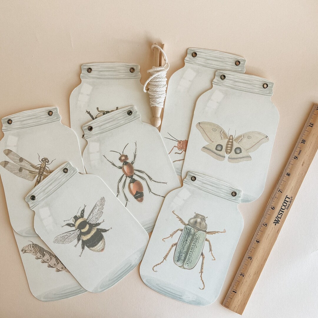 Insect Jars for Classroom Decor Hanging Wall Decor Homeschool ...