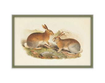 Vintage Bunny Print 11x17