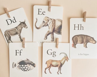 Alphabet Flashcard Set with Hanging Kit
