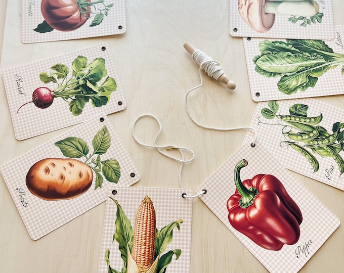 Baby Shower Locally Grown Banner Garland, Farmer's Market Decor, Vintage Farmhouse Seed Packet Style, Gingham Pattern, Adjustable Length