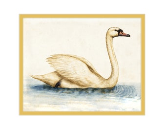 8x10 Vintage Swan Nursery Art