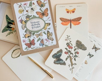 Butterfly Study Flashcards