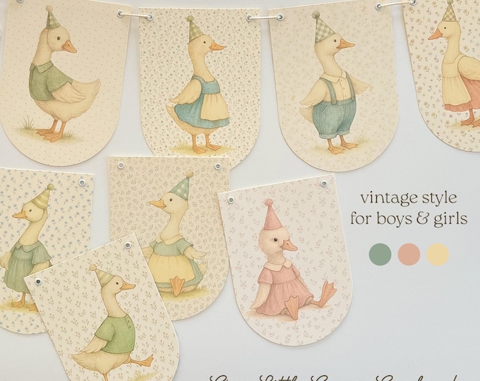 One Silly Goose Birthday Banner, Vintage First Birthday Goose Decor, Fireplace Mantle or Cake Table Decor in Soft Colors