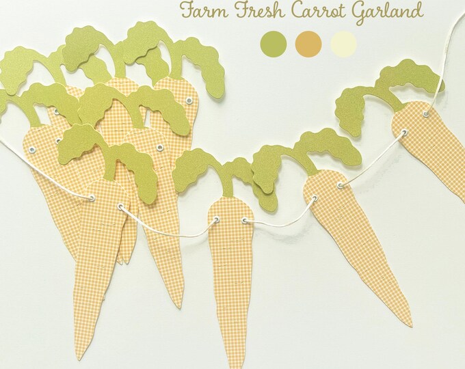 Carrot Garland Banner, Locally Grown Baby Shower Decorations, Farmhouse Farmers Market Theme, Spring Garden Party Decor