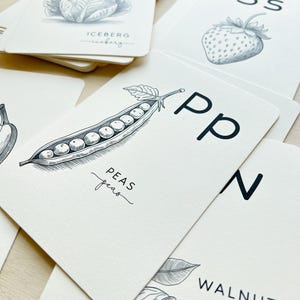 May include: A stack of white flashcards with black illustrations of vegetables and fruits. The cards include drawings of a cabbage, strawberry, peas, and a walnut. Each card has the name of the fruit or vegetable printed in a script font.