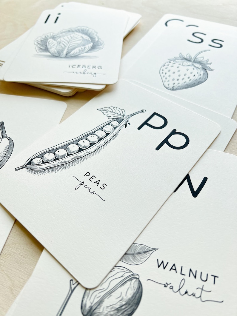 May include: A stack of white flashcards with black illustrations of vegetables and fruits. The cards include drawings of a cabbage, strawberry, peas, and a walnut. Each card has the name of the fruit or vegetable printed in a script font.
