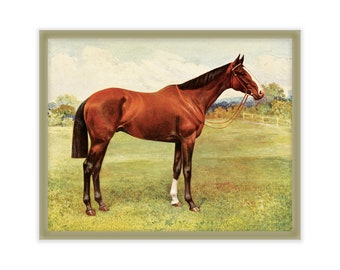 Vintage Horse Print 11x14