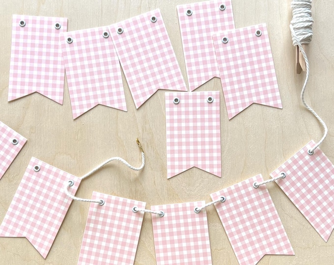 Pink Gingham Banner, 12 Mini 2"x4" Pennants & Twine, Pink Decor, Drape Across Chalkboard, for Birthday, Room Decor, Teacher Gift, Photo Prop