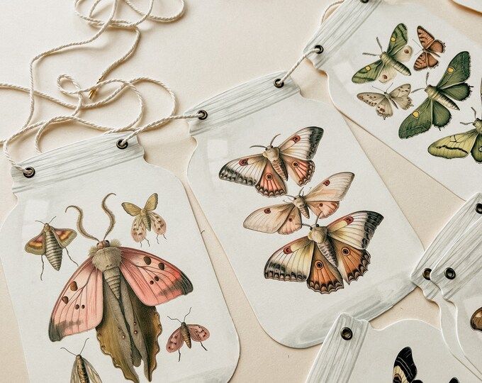 Little Bug Baby Shower, 8 - 5x7" Jars Adjustable , Reusable, Nature Homeschool or Party Decorations, Vintage Style Moth Art