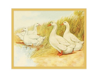 8x10 Duck Nursery Art