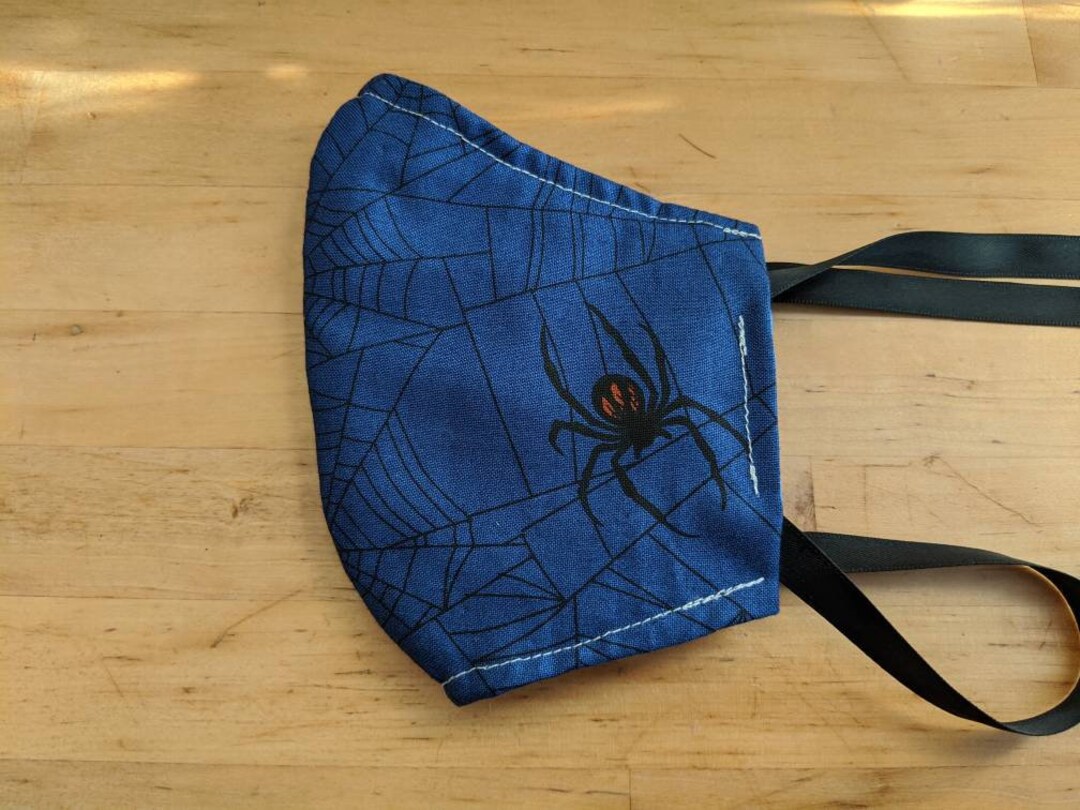 Spider in Cobwebs Face Mask With Pocket - Etsy
