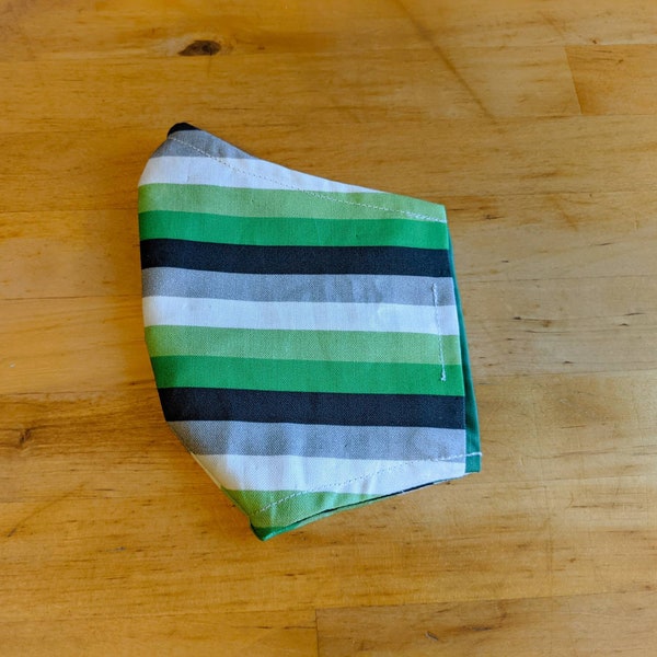 Aromantic Pride Flag Face Mask with pocket