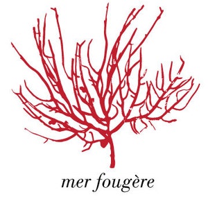 Fougere (fougère de mer) de la mer