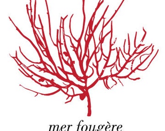 Mer Fougere (Sea Fern)