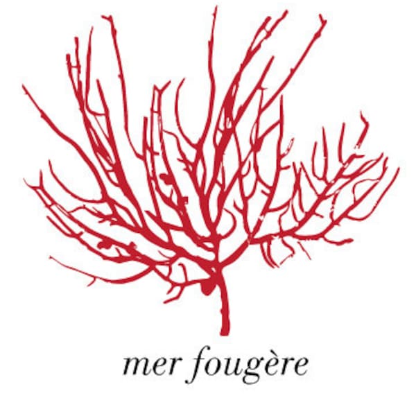 Mer Fougere (Sea Fern)