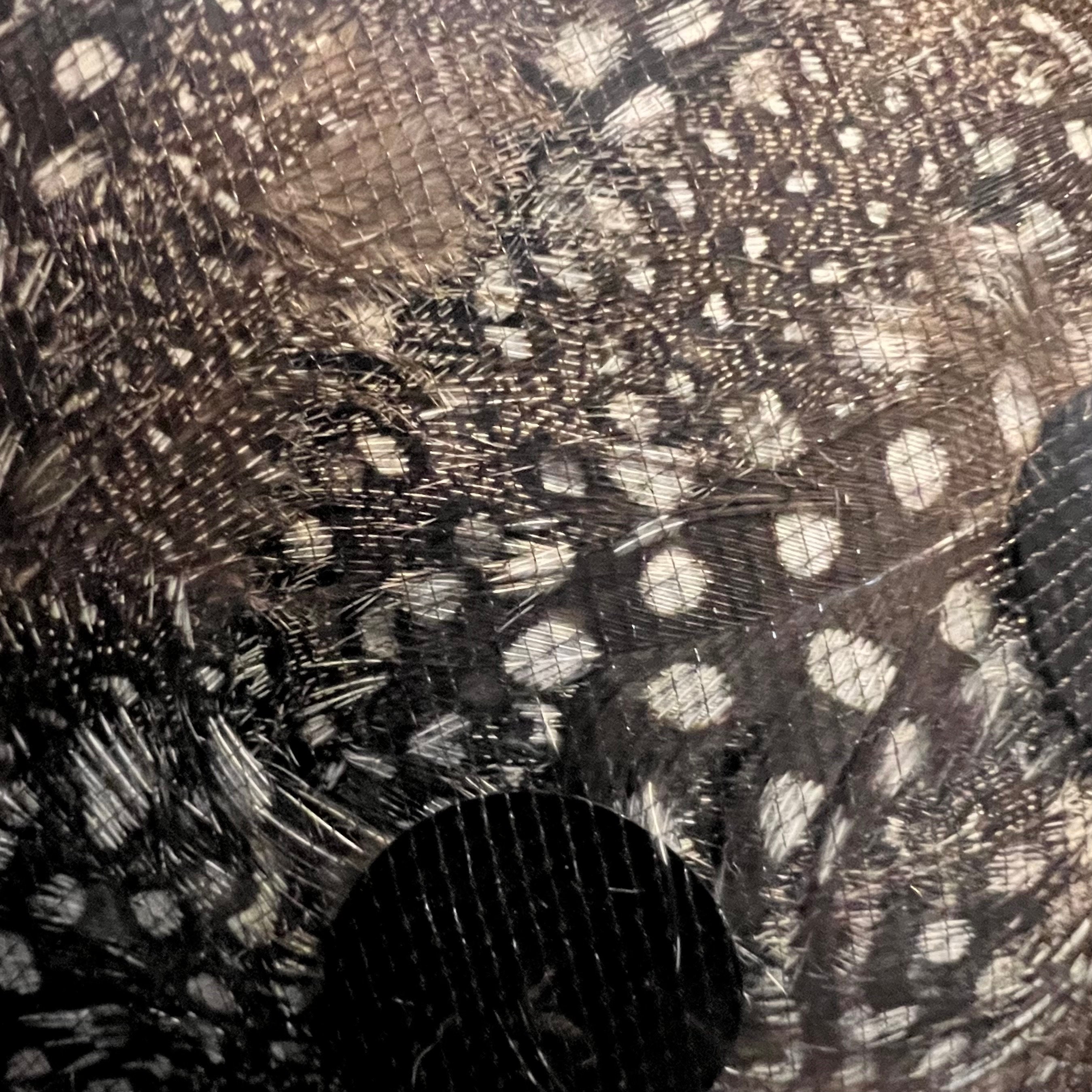 Lemington Vintage Cloque Hat- Feather, Netting & Sequin Disks, The Block Co. 1950 main image 3