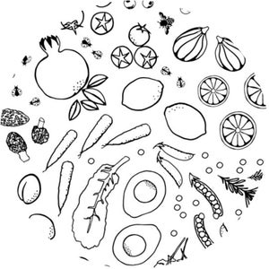 LAMINATED Cotton » Vegetable Print |  Veggie Print Fabric | Oil Cloth By The 1/2 Yard |  Yardage | Eco-Friendly Fabric