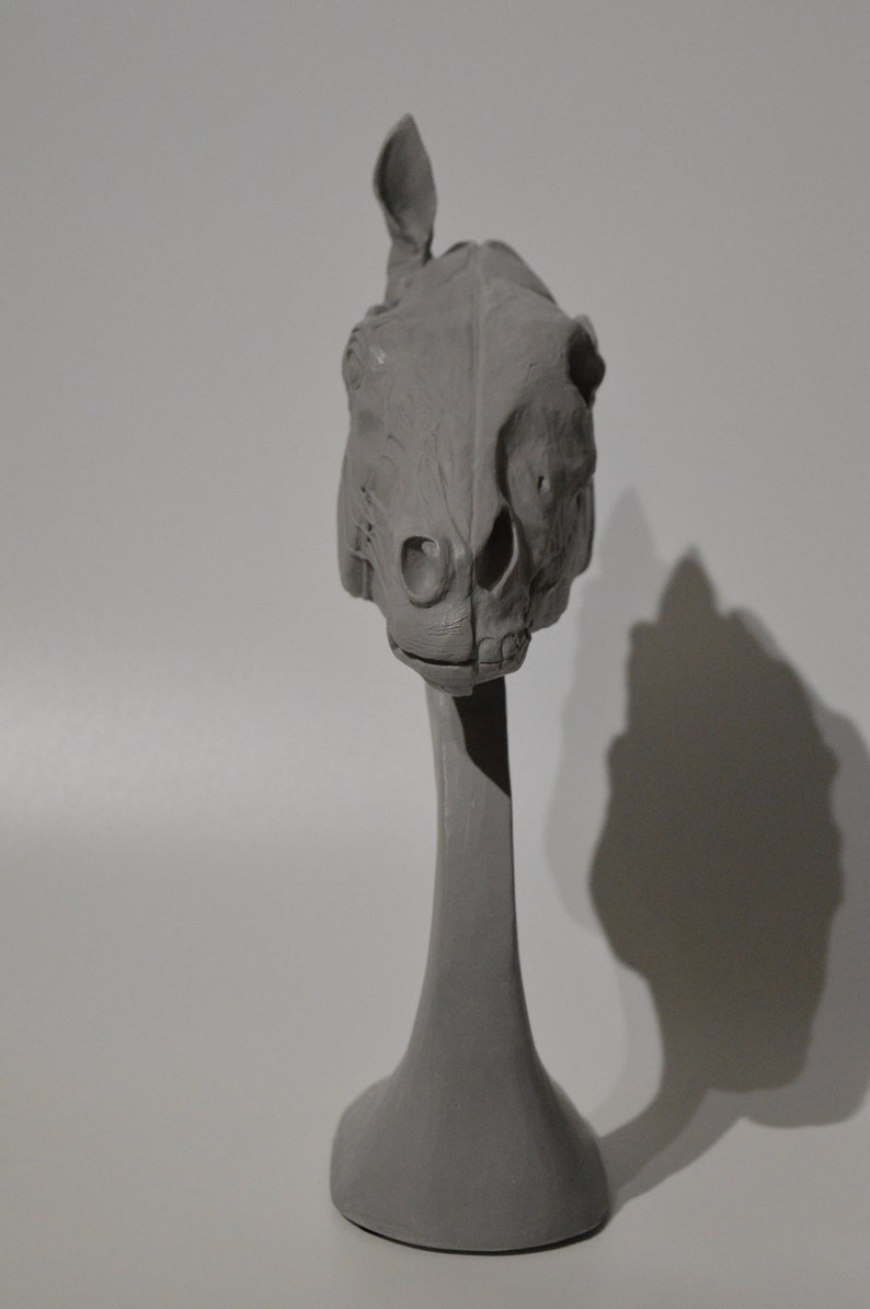Horse Equine Skull head Anatomy sculpt sculpture animal