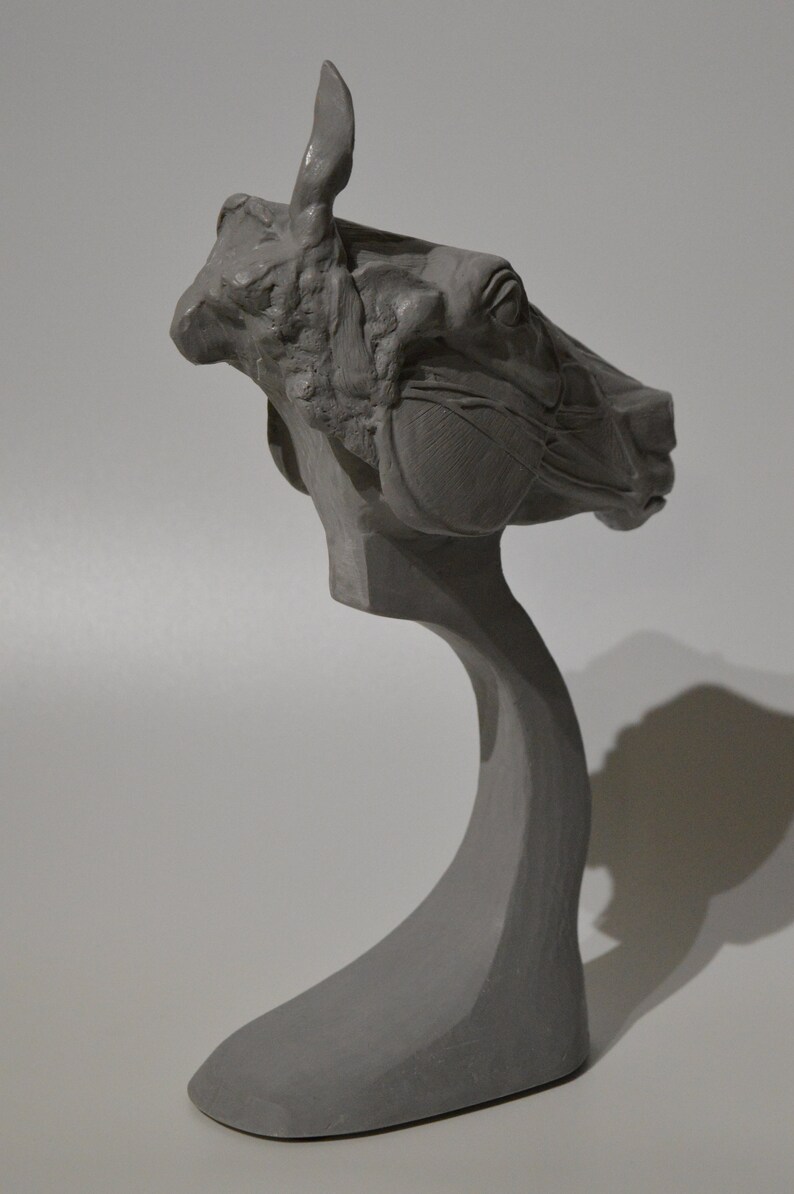 Horse Equine Skull head Anatomy sculpt sculpture animal