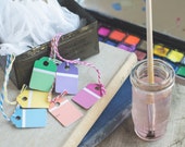 Tea Bags - Rainbow Ombre Paint Chip - Upcycled - (6)