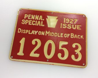 Broche Vintage 1934 - Permis De Pêche Résident De Pennsylvanie (PA), Dos 250446 - État Excellent