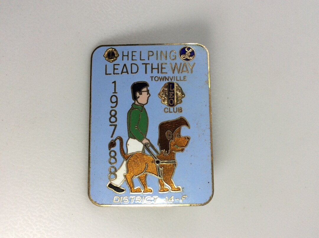 Vintage Lions Club International Pin Brooch Pa District 14F Townville