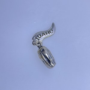 May include: A silver-toned charm with the word "IDAHO" on a banner. The charm has a detailed, textured design and a loop for attaching to a bracelet or necklace. The charm is likely made of metal.