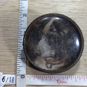 Vintage Old Glass Dog Photo Button Corrosion On Back Used