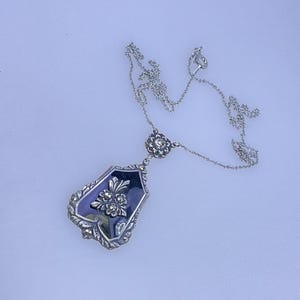 May include: A silver-toned necklace with a pendant featuring a dark blue enamel background and a floral design. The pendant has an ornate, decorative border. The necklace chain is delicate and extends to a clasp.