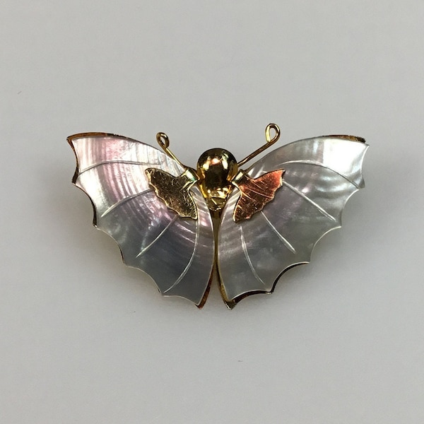 Shell Butterfly - Etsy