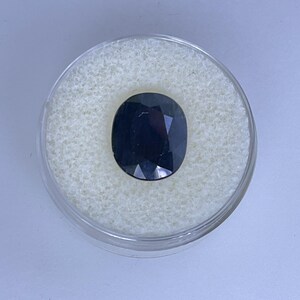 May include: A dark blue, oval-cut gemstone displayed in a clear, round plastic container with a white, textured interior. The gemstone has a polished surface and reflects light.