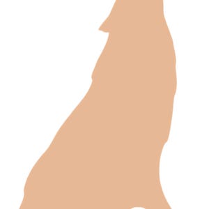 May include: A tan silhouette of a wolf howling at the moon. The wolf is facing to the right and has its head tilted back.