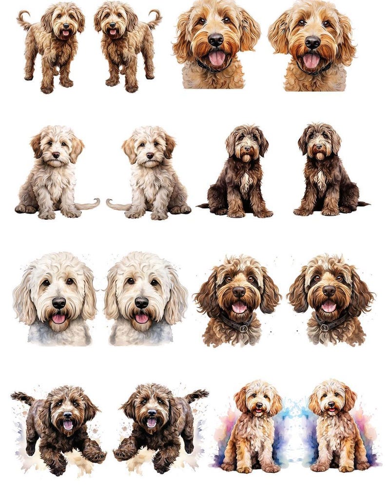 20635 Labradoodles Earring Sets – Waterslide Decal for Enamel, Glass ...
