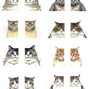 May include: Watercolor illustrations of various cat faces. The cats have different fur patterns and colors, including tabby, gray, and calico. Each cat is depicted in a symmetrical, split-face style, creating a unique artistic effect.