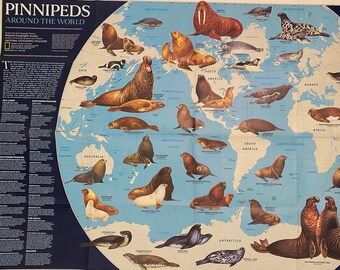 Original April 1987 Map of Pinnipeds Around the World, National Geographic