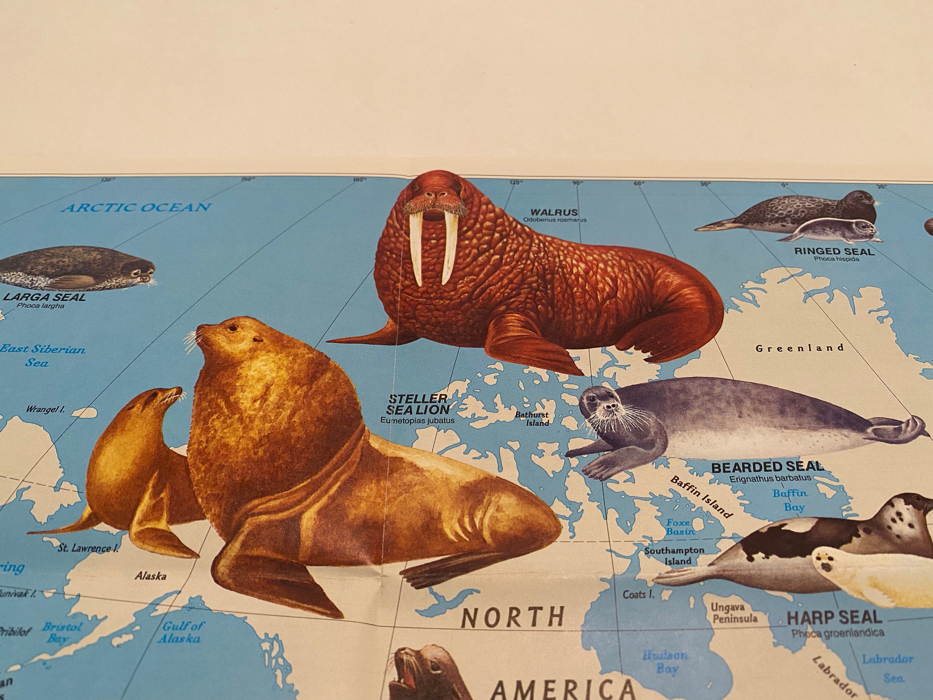 Original April 1987 Map of Pinnipeds Around the World