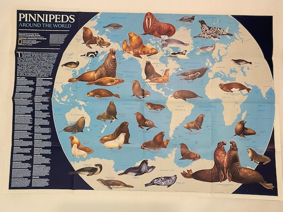 ぴあマップ　1987 Original April 1987 Map of Pinnipeds Around the World