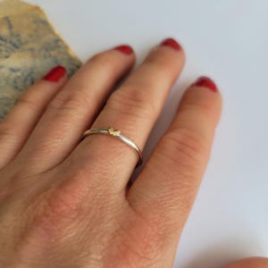 May include: A delicate silver ring with a small gold heart charm.