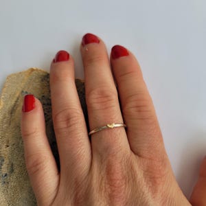 May include: A delicate silver ring with a small gold heart charm.